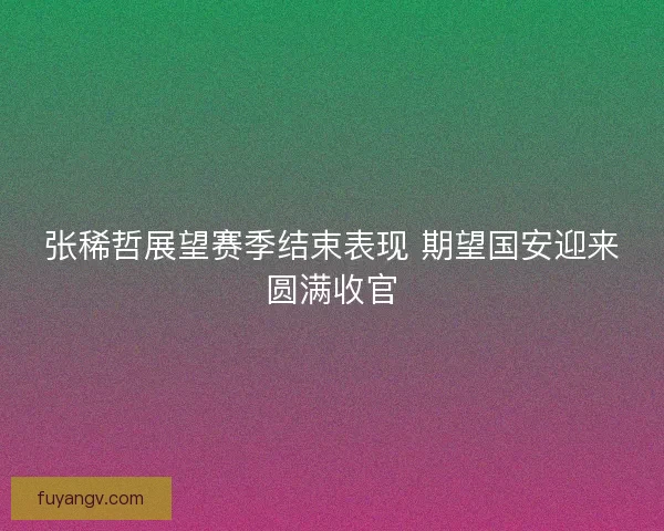 张稀哲展望赛季结束表现 期望国安迎来圆满收官